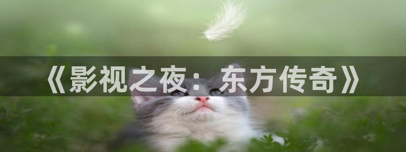 91影院福利影院