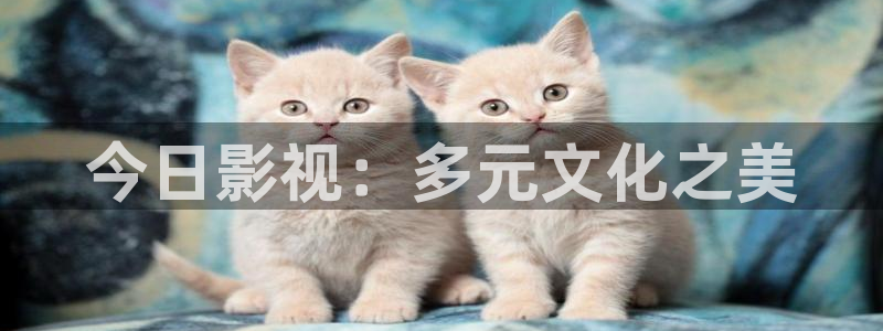 91影院在线观看