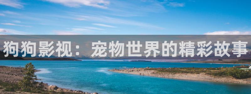 91影院免费在线观看